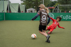 DSC06481