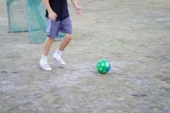 DSC07238