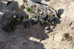 IMG-20190722-WA0008