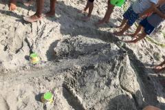 IMG-20190722-WA0012