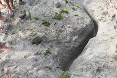 IMG-20190722-WA0031