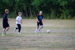 DSC07536